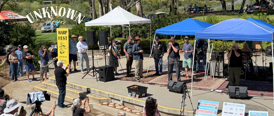 Amateur harmonica players lined up to compete for the title of "Best Unknown Player."