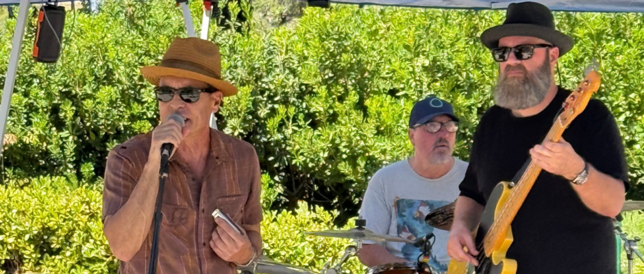 Troy Sandow stepped up from backstage bassist to lead harmonica with his own act.
